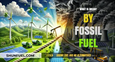 Fossil Fuels: Energy Sources from the Past