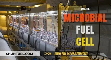 Exploring Microbial Fuel Cells: Clean Energy from Microbial Metabolism
