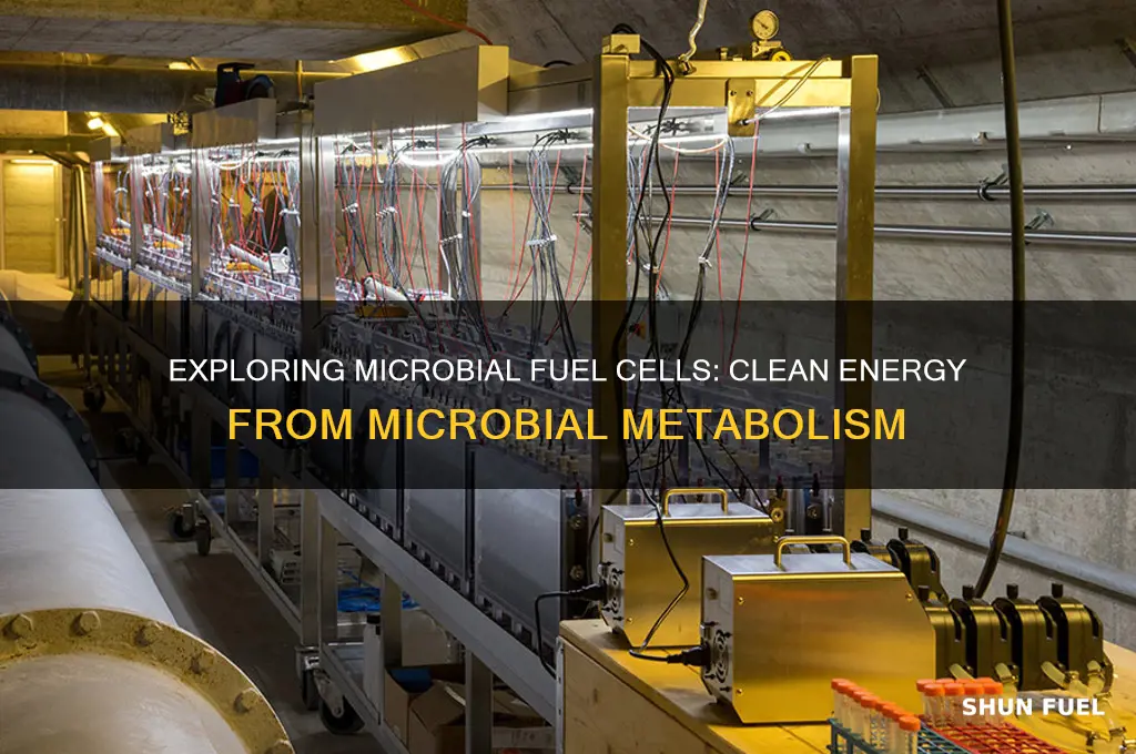 what is microbial fuel cell