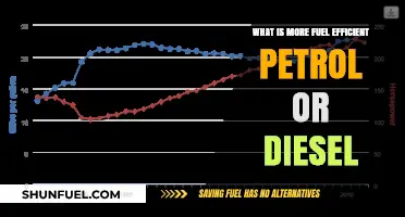 Petrol vs Diesel: Which Fuel is More Efficient?