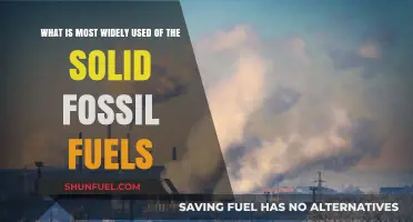 The Dominant Solid Fossil Fuel: Uncovering the Most Widely Used Resource