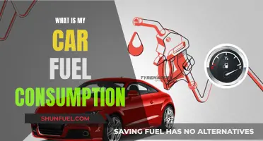 Understanding Your Car's Fuel Efficiency and Economy