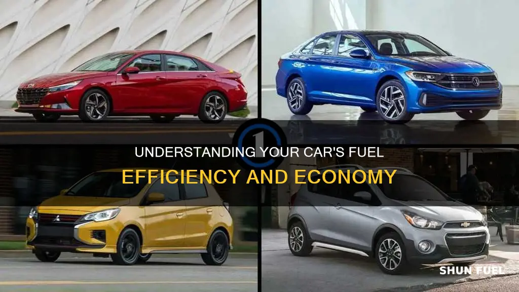 what is my car fuel consumption