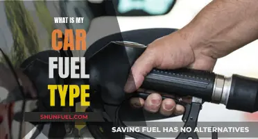 Understanding Your Car's Fuel Type: Unleashing the Power