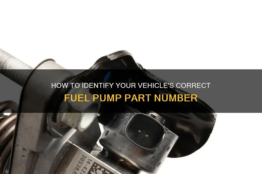 what is my fuel pump part number
