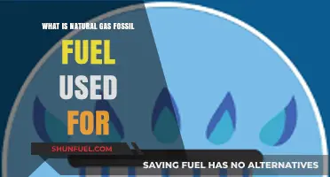 Exploring Natural Gas: Uses and Importance of This Fossil Fuel