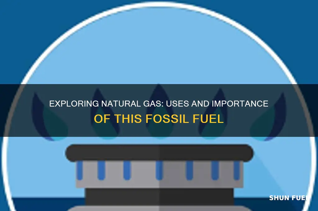 what is natural gas fossil fuel used for