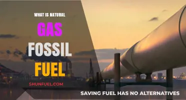 Understanding Natural Gas: A Fossil Fuel's Role in Energy Production