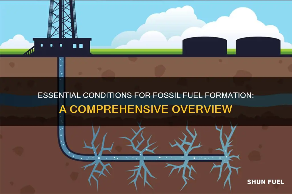 what is necessary for the formatio of fossil fuels
