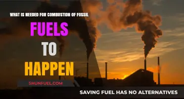 Essential Elements for Fossil Fuel Combustion: A Comprehensive Guide