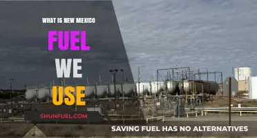 Exploring New Mexico's Fuel Sources: Types, Uses, and Innovations