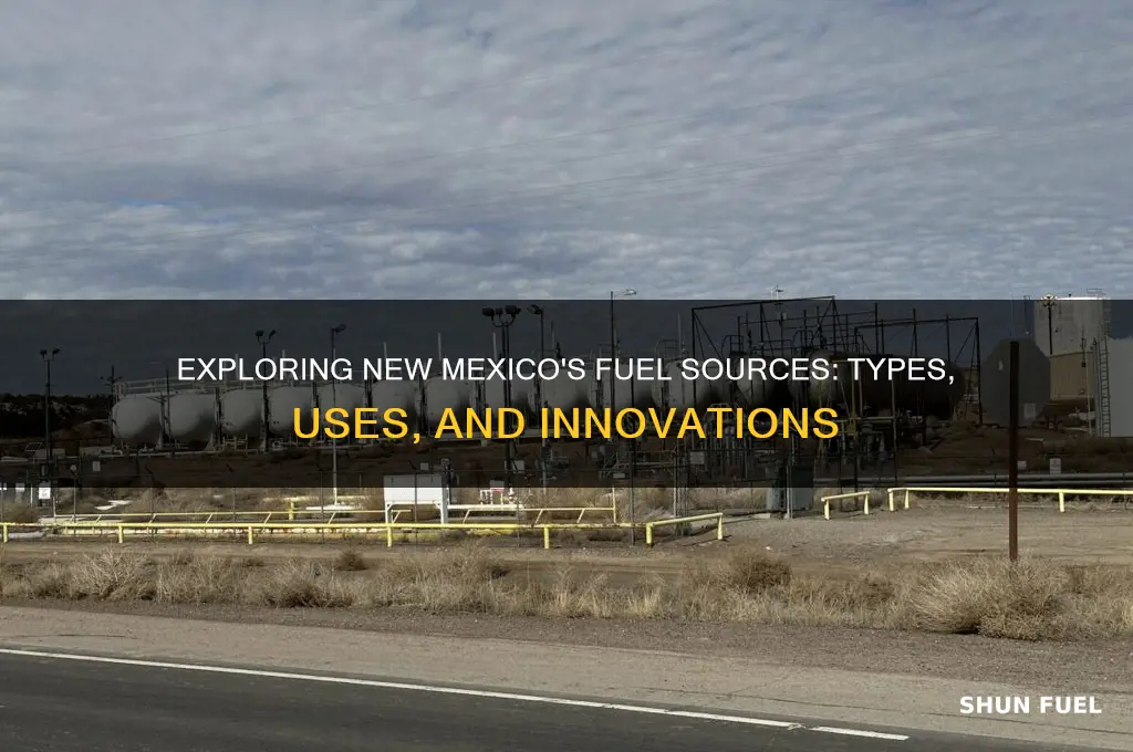 what is new mexico fuel we use