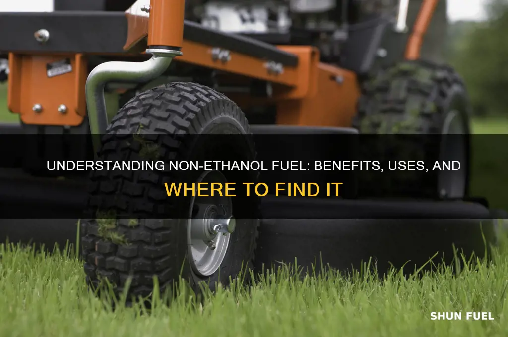 what is non ethanol fuel