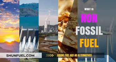Exploring Clean Energy: Understanding Non-Fossil Fuel Alternatives for a Greener Future