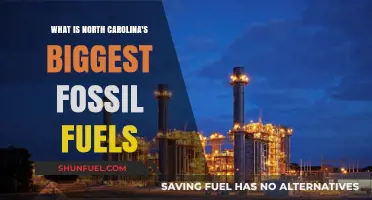 North Carolina's Largest Fossil Fuel Sources: A Comprehensive Overview