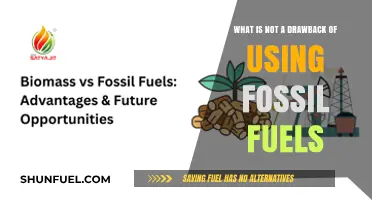 Fossil Fuels' Surprising Advantage: What's Not a Drawback?