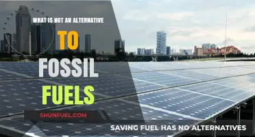 Debunking Myths: What Isn't a Viable Alternative to Fossil Fuels?