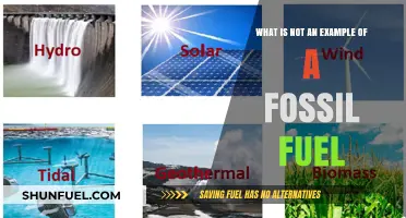 Beyond Fossil Fuels: Identifying Non-Examples in Energy Sources