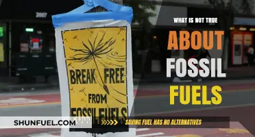 Debunking Myths: The Untruths Surrounding Fossil Fuels Revealed