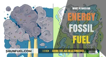Nuclear Energy vs. Fossil Fuels: Power Sources Compared and Contrasted