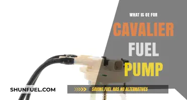 Understanding OE Cavalier Fuel Pump: Function, Importance, and Replacement Tips