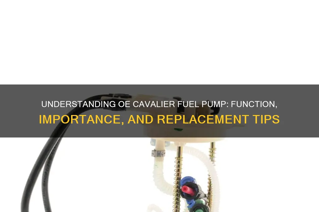 what is oe for cavalier fuel pump