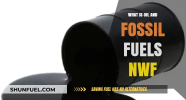 Understanding Oil and Fossil Fuels: NWF's Guide to Energy Sources