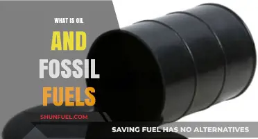 Understanding Oil and Fossil Fuels: Origins, Uses, and Environmental Impact