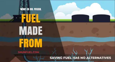 Understanding Oil: The Origins of Fossil Fuel Formation Explained