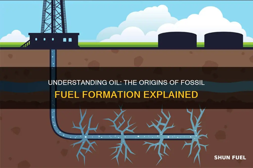 what is oil fossil fuel made from