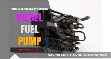 Understanding the Components on the Side of a Cummins Diesel Fuel Pump