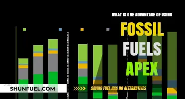 Fossil Fuels Apex: Unlocking Energy Reliability and Industrial Power