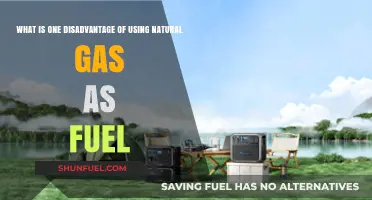 Natural Gas Fuel: A Hidden Environmental and Economic Drawback Revealed