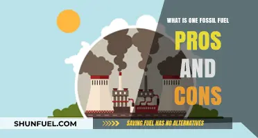 Fossil Fuel Pros and Cons: Balancing Energy Needs and Environmental Impact