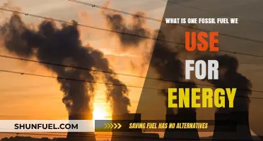 Unveiling the Power Source: One Fossil Fuel Driving Our Energy Needs
