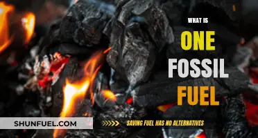 Understanding Fossil Fuels: Exploring the Basics of One Key Energy Source