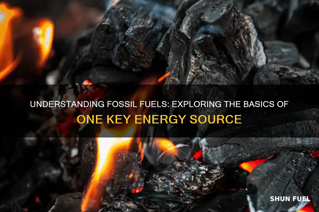 what is one fossil fuel