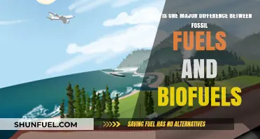 Fossil Fuels vs. Biofuels: Key Difference in Energy Sources