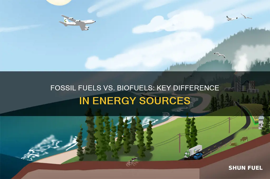 what is one major difference between fossil fuels and biofuels