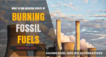 Burning Fossil Fuels: Accelerating Climate Change and Environmental Degradation