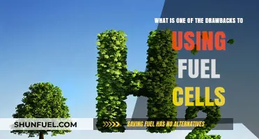 Fuel Cells: A Clean Energy Drawback Revealed