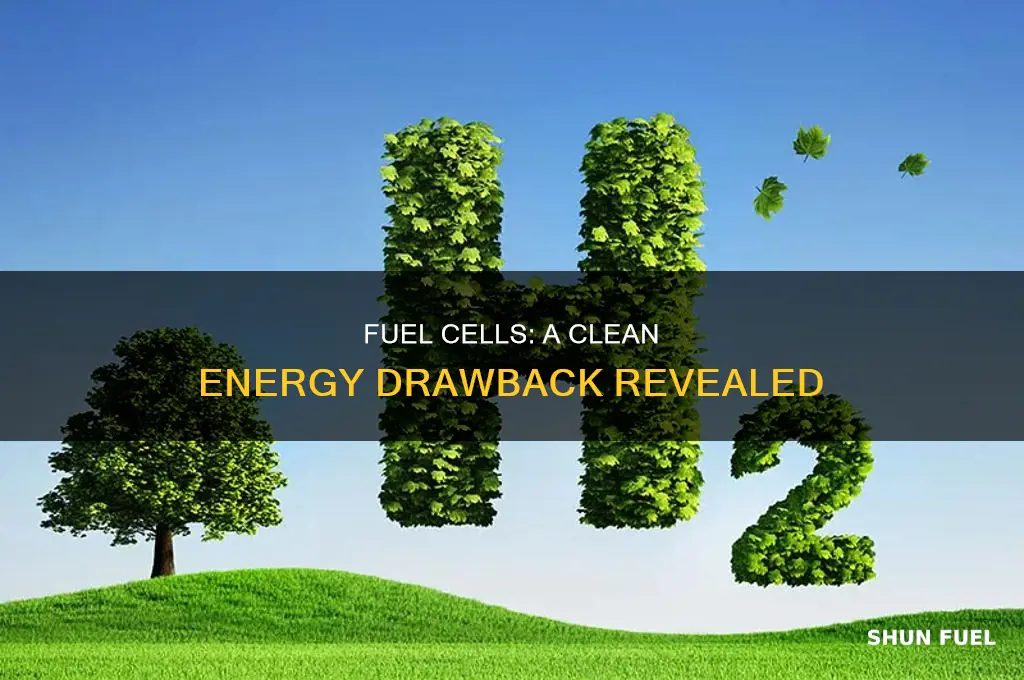 what is one of the drawbacks to using fuel cells