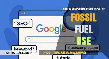 Fossil Fuels' Role in Powering Global Economic Growth and Connectivity