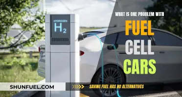 Fuel Cell Cars: One Problem, Many Challenges
