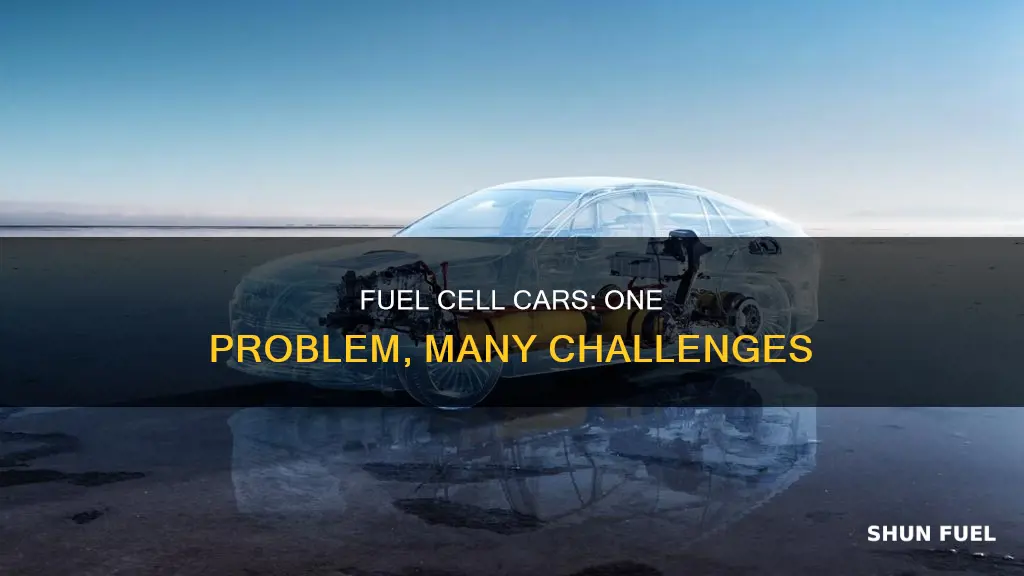what is one problem with fuel cell cars