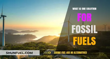 Transitioning to Renewable Energy: A Sustainable Solution Beyond Fossil Fuels
