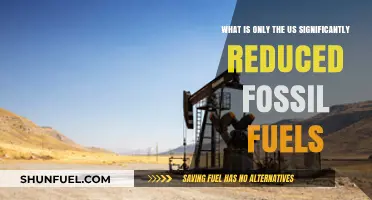 How a US Fossil Fuel Reduction Could Transform Energy and Climate