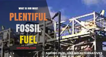 Unveiling Earth's Dominant Energy Source: Our Most Plentiful Fossil Fuel