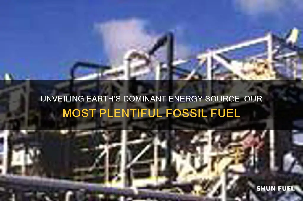 what is our most plentiful fossil fuel