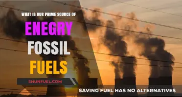 Fossil Fuels: The Dominant Prime Energy Source Powering Our World
